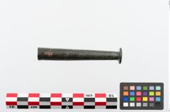 Foto von Bronzeortband (NHMW-PRAE-024361)